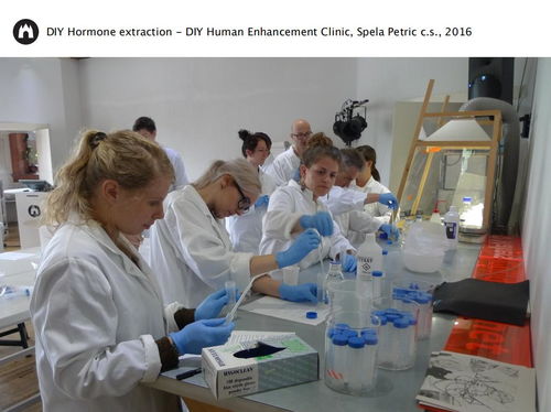 科技与艺术的交融之花 Lucas Evers在生物设计中的探索与创新