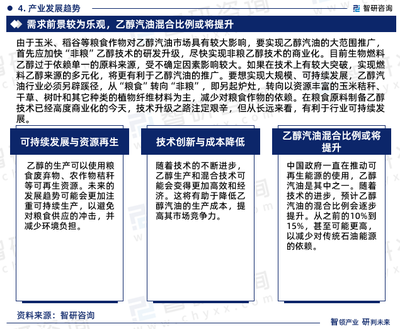 2024-2030年中国乙醇汽油行业发展现状调查及市场分析预测