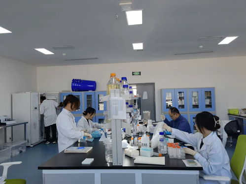 四川推进科技创新领域两新组织两个覆盖 生物科技技术咨询的新机遇